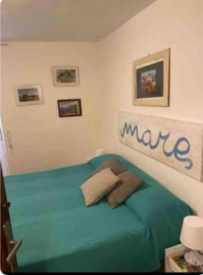Acciuga
